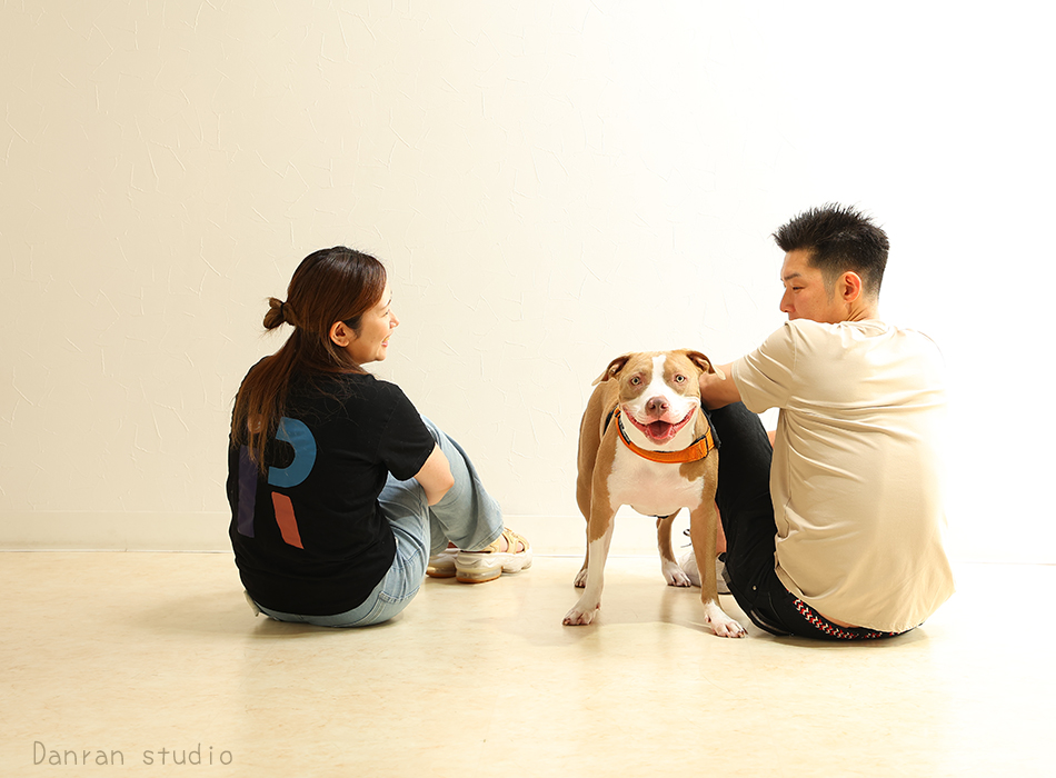 犬のいる生活にも家族写真